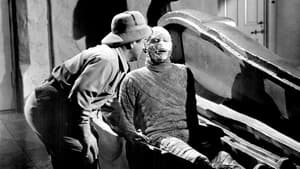 Abbott and Costello Meet the Mummy image 4