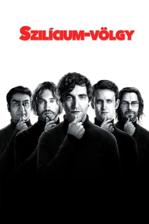 Silicon Valley, Season 1 poster 3
