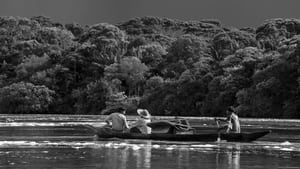 Embrace of the Serpent image 3