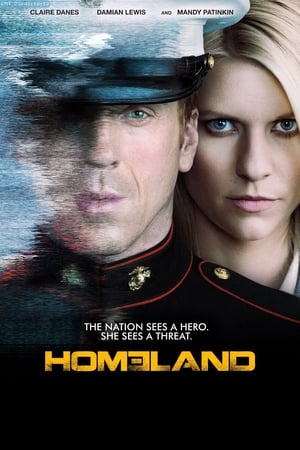 Homeland, Season 5 poster 0