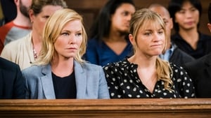 Law & Order: SVU (Special Victims Unit), Season 18 - Heightened Emotions image