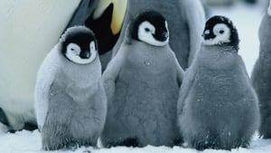 March of the Penguins image 2