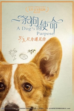A Dog's Purpose poster 1