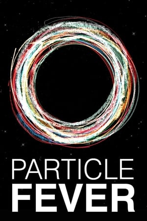 Particle Fever poster 4