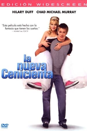 A Cinderella Story poster 3
