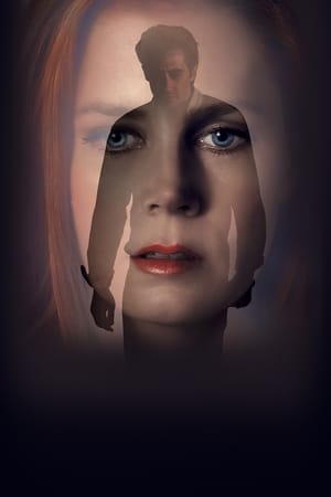 Nocturnal Animals poster 3