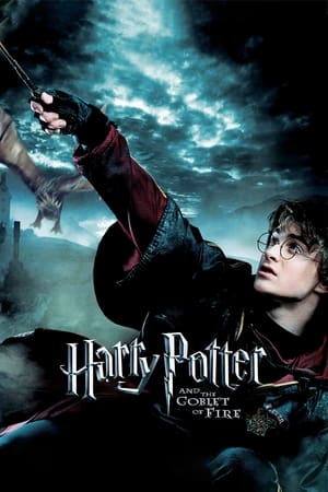 Harry Potter and the Goblet of Fire poster 2