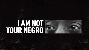 I Am Not Your Negro image 2