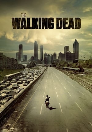 The Walking Dead, Season 8 poster 0
