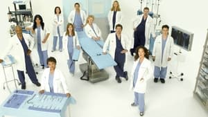 Grey's Anatomy, Season 13 image 0