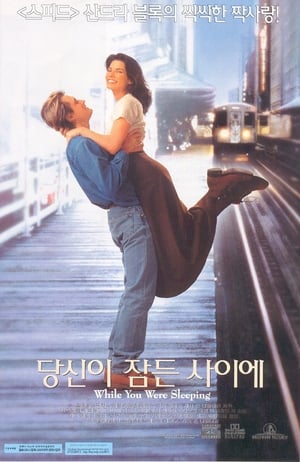 While You Were Sleeping poster 2