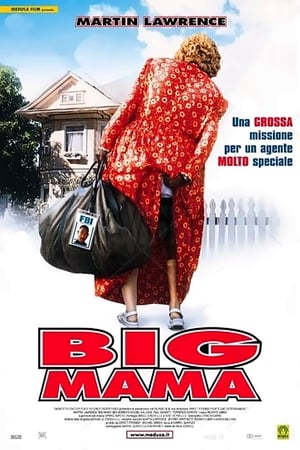 Big Momma's House poster 1