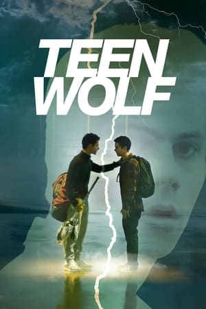 Teen Wolf, Season 6 poster 2