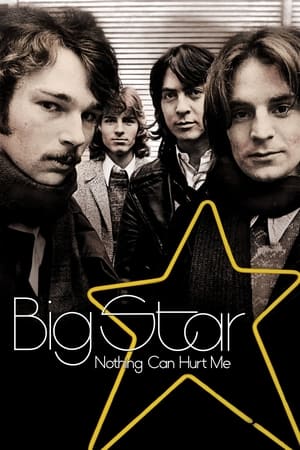 Big Star: Nothing Can Hurt Me poster 1