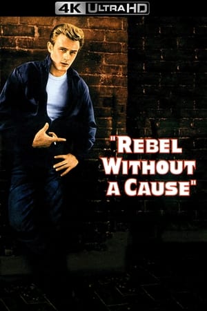 Rebel Without a Cause poster 4