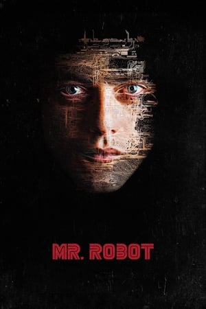 Mr. Robot, Season 1 poster 3