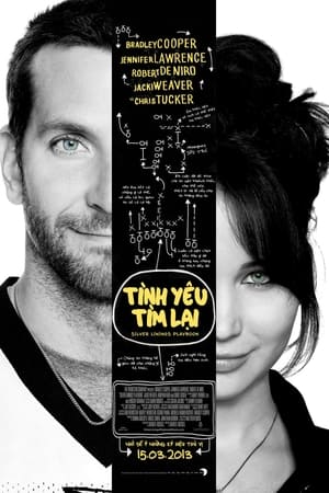 Silver Linings Playbook poster 1