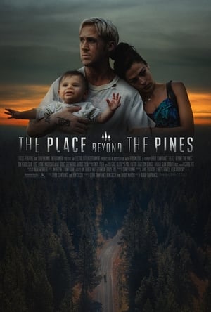 The Place Beyond the Pines poster 4