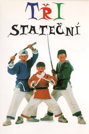 3 Ninjas poster 3