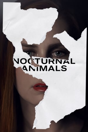Nocturnal Animals poster 1