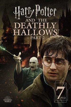 Harry Potter and the Deathly Hallows, Part 2 poster 3