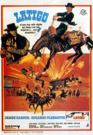Support Your Local Gunfighter poster 2