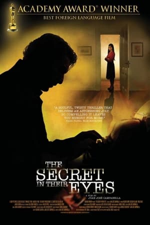 The Secret In Their Eyes poster 3