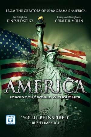 America: Imagine the World Without Her poster 3