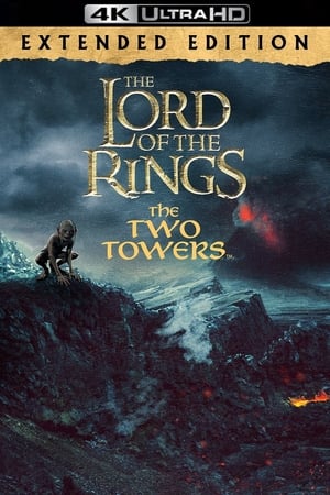 The Lord of the Rings: The Two Towers poster 2