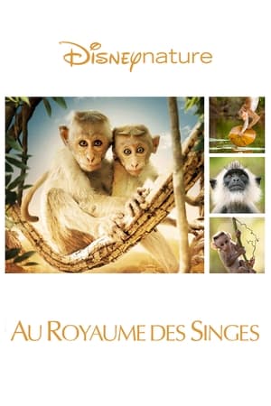 Disneynature: Monkey Kingdom poster 4