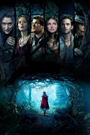 Into the Woods (2014) poster 3