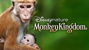 Disneynature: Monkey Kingdom image 3