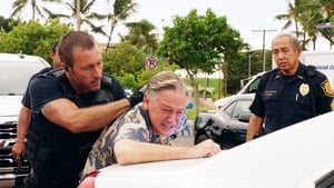 Hawaii Five-0, Season 8 - O ka mea ua hala, ua hala ia (What is Gone is Gone) image