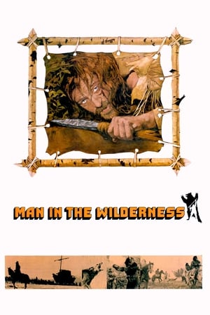 Man In the Wilderness poster 1