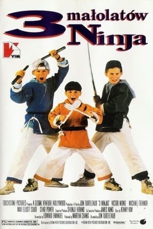 3 Ninjas poster 1