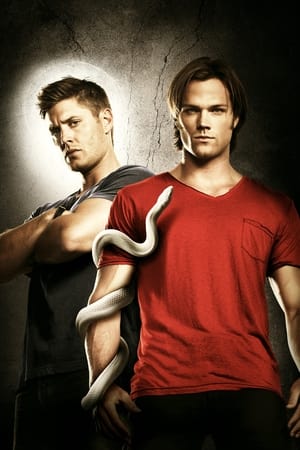 Supernatural, Season 13 poster 3