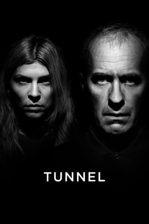 The Tunnel, Sabotage: Season 2 poster 1