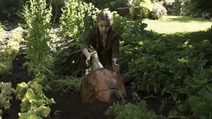 Miss Peregrine's Home for Peculiar Children image 2