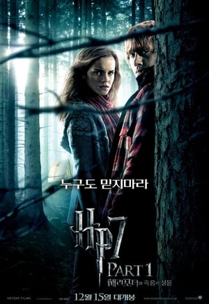 Harry Potter and the Deathly Hallows, Part 1 poster 3