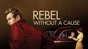 Rebel Without a Cause image 2