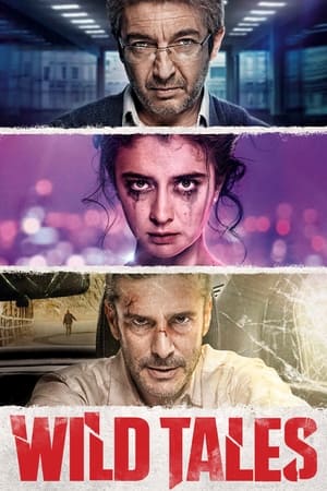 Wild Tales poster 1