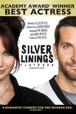 Silver Linings Playbook poster 3