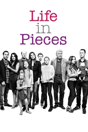 Life in Pieces, Season 2 poster 0