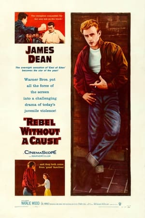 Rebel Without a Cause poster 1