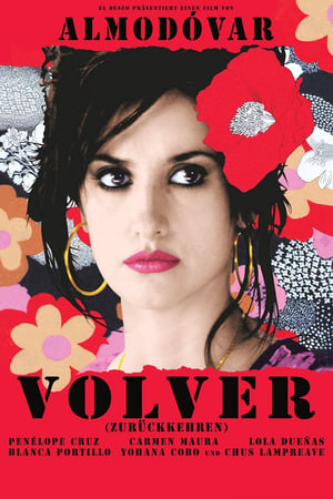 Volver poster 2