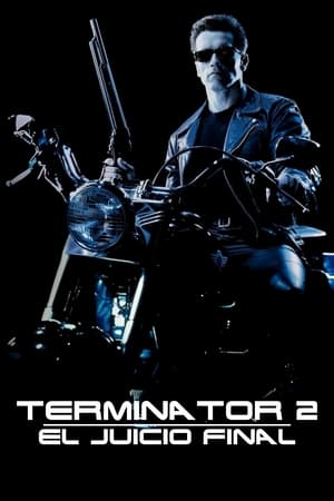 Terminator 2: Judgment Day poster 2