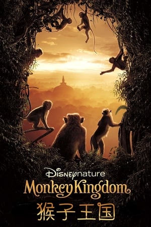 Disneynature: Monkey Kingdom poster 3