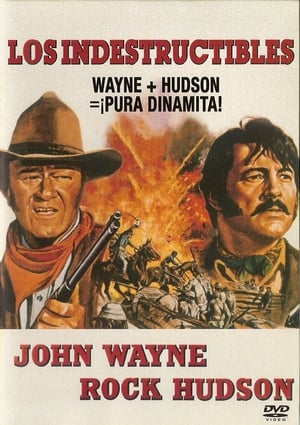 The Undefeated (1969) poster 3