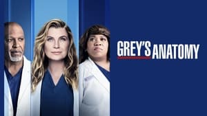 Grey's Anatomy, Season 13 image 3