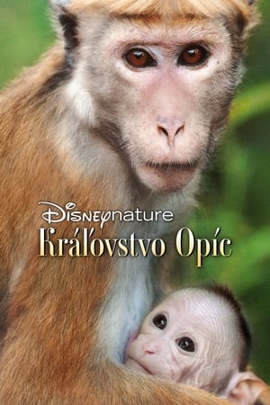 Disneynature: Monkey Kingdom poster 1